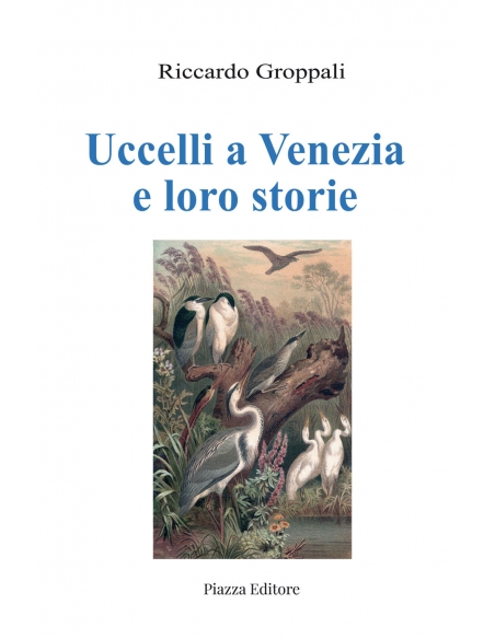 Uccelli a Venezia e loro storie