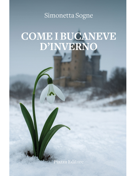 COME I BUCANEVE D’INVERNO