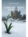 COME I BUCANEVE D’INVERNO